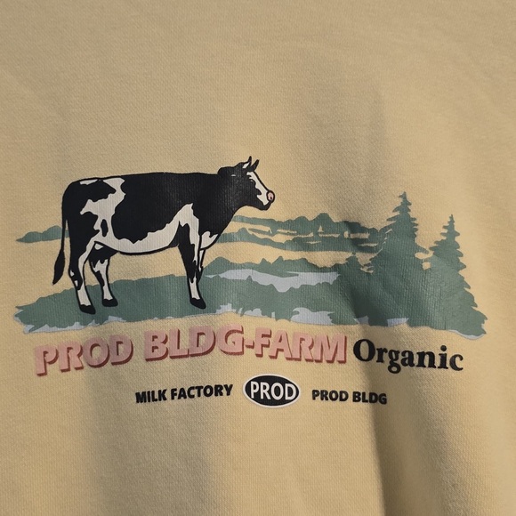 Cream Sweater - Picture 6 of 16